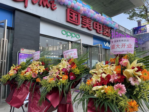 郑州市进口鲜花品牌店,郑州哪里批发鲜花