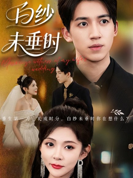 老婆婚礼，我当证婚人&老婆婚礼我当证婚人&白纱未垂时（54集）钟煜霖&陆碧霄 高清完整版
