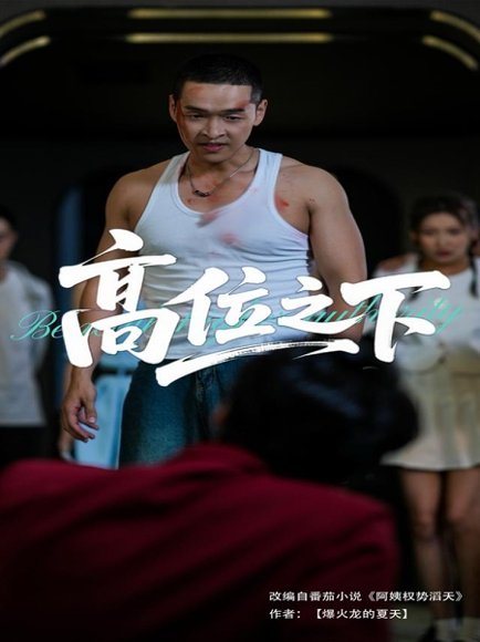 高位之下（65集）张家嘉&赵龙 高清完整版